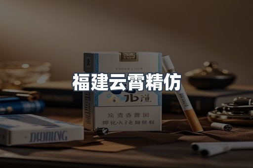 福建云霄精仿